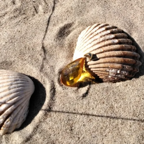 Baltic amber earrings "Baltic wave"