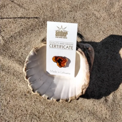 Natural Baltic amber pendant "Lithuania"